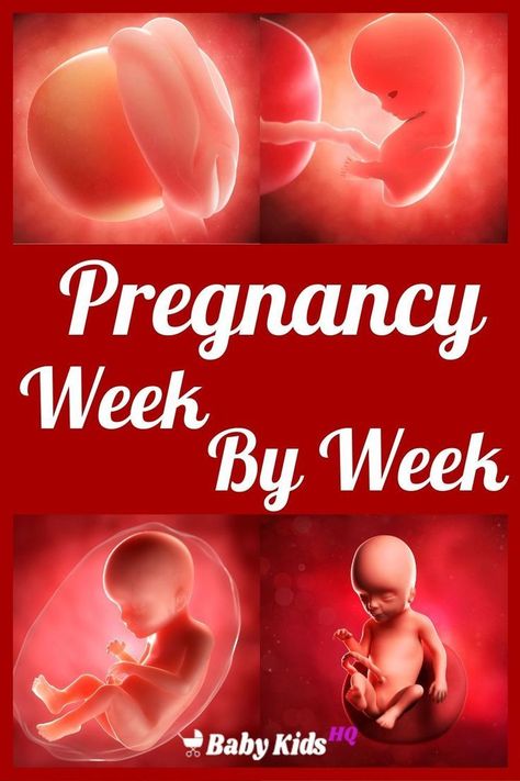 Wondering how many weeks pregnant am I? How many days until I have my baby? How is my bay developing? Find out the answers for above questions with this pregnancy week by week guide. #pregnancyweekbyweek #pregnancytips #pregnancytimeline #pregnancytrimesters Two Weeks Pregnant, Pregnant Wallpaper, Pregnancy By Week, Four Weeks Pregnant, 2 Weeks Pregnant, 1 Week Pregnant, Pregnancy Development, 9 Weeks Pregnant, 11 Weeks Pregnant