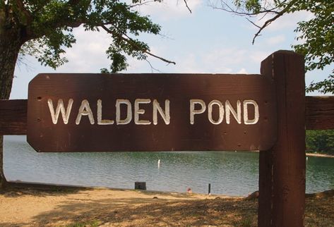 Walden Pond | A Whimsical Walk through Nature and History ---- Sign welcomes visitors to Walden Pond Walden Pond, Massachusetts Travel, Swimming Pond, Moon Stars, Get Outside, Sun Moon, Nature Lovers, Rhode Island, New Hampshire