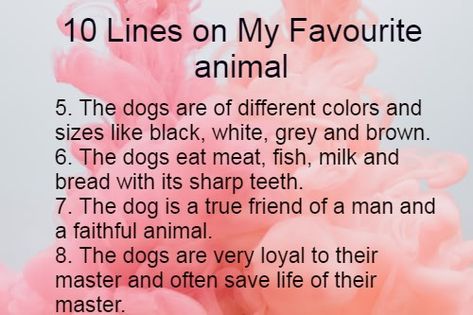 10 Lines on My Favourite animal Dog.The dog is a pet animal and it is found everywhere in the world. My Favourite Animal Essay, Dog Essay, English For Students, Scholarship Essay, Kids Blouse, Short Essay, Broken Screen, Teaching Methods, Favorite Animal