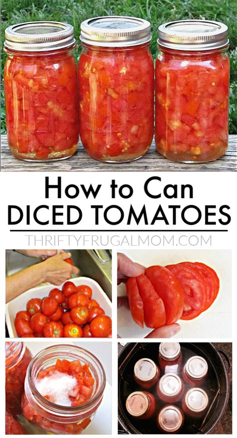 The absolute easiest way to can tomatoes- no peeling, no coring! This easy step by step tutorial will show you how to can diced tomatoes in no time! #thriftyfrugalmom #cantomatoes #canning #dicedtomatoes Kitchen Knowledge, Canning Tomatoes Recipes, Can Diced Tomatoes, Tomato Recipe, Freezing Food, Canning Fruit, Garden Tomatoes, Jar Food, Home Canning Recipes