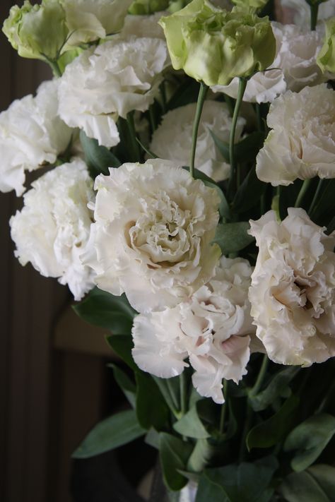 White Double Lisianthus, White Eustoma, Hydrangeas Garden, Winery Reception, Flower Ikebana, White Green Wedding, White Lisianthus, Flower Catalog, Soft Flowers