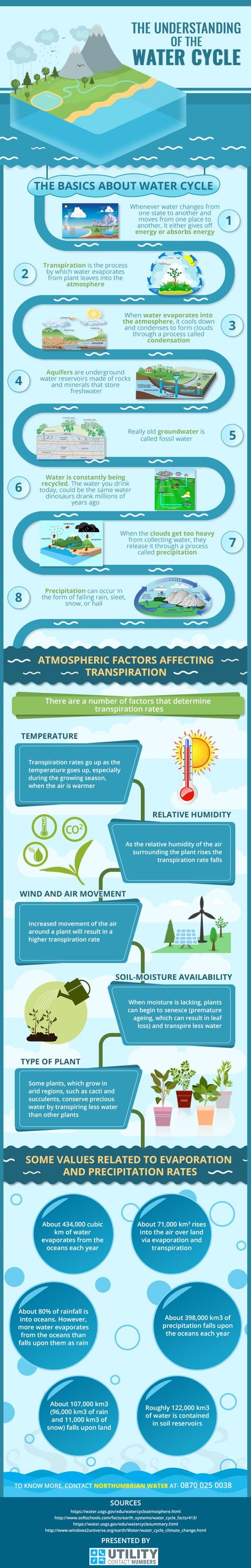 Water Cycle Presentation, Water Cycle Process, Infographic Design Trends, Cycle Infographic, Water Cycle Poster, Water Cycle Project, Hydrological Cycle, Water Security, Water Sustainability