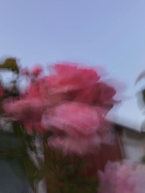 Instagram Highlight Covers Blurry, Blurred Flowers Aesthetic, Blur Highlight Covers Instagram, Blurry Rose Aesthetic, Rose Blurry Aesthetic, Dark Pink Highlight Covers Instagram, Blurry Nature Aesthetic, Blurry Pink Aesthetic, Dark Pink Roses Aesthetic