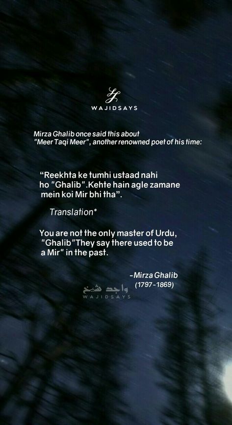 Mirza Ghalib said about meer taqi meer #mirzaghalib #meertaqimeer #wajidshaikhpoetries #wajidsays Mirza Ghalib Poetry English, Mirza Ghalib Quotes Feelings, Meer Taqi Meer Poetry, Meer Taqi Meer, Mirza Ghalib Quotes, Ghalib Shayari, Mirza Ghalib Shayari, Mirza Ghalib Poetry, Ghalib Poetry