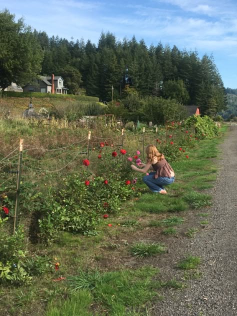 Rural Living Aesthetic, Rural Life Aesthetic, Pnw Summer Aesthetic, Summer Before Senior Year, Oregon Coast Aesthetic, Farm Girl Aesthetic, Allie Core, Pacific Northwest Summer, Oregon Farm