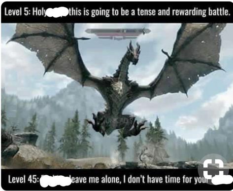 Elder Scrolls Memes, Skyrim Game, Skyrim Funny, Scrolls Game, Elder Scrolls Games, Elder Scrolls Skyrim, Bethesda Games, Video Game Memes, V Video