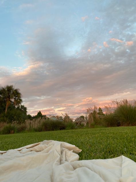 Picnic date in a field under the sunset🧚🏻‍♂️ Picnic Background Aesthetic, Evening Picnic Aesthetic, Picnic In Flower Field, Field Picnic Aesthetic, Picnic In Field, Kiersten Core, Flower Field Picnic, Picnic In A Field, Picnic Field