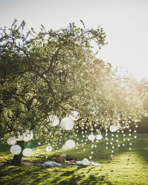 IKEA Australia on Instagram: “Summer + a beautiful tree + some SOLVINDEN lamps = the perfect picnic spot!” Ikea Australia, Picnic Decorations, Garden Picnic, Picnic Birthday, Garden Party Decorations, Garden Wedding Decorations, Picnic Wedding, Picnic Spot, Most Beautiful Gardens