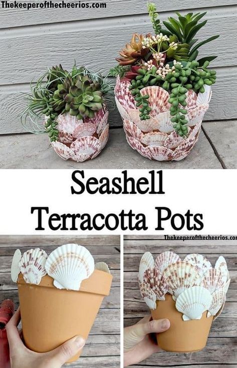 Dollar Tree Fanatics Crafts & Decor 🥳 | Cute idea | Facebook Dollar Tree Flowers, Flower Pot Crafts, Crafts Decor, Seashell Crafts, Dollar Tree Diy, Terracotta Pots, Clay Pots, Dollar Tree, Flower Pots