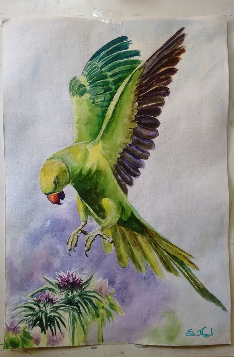 Indian Parrot Painting, Green Parrot Watercolor, Bird Drawings Watercolor, Watercolor Drawing Animals, Bird Composition Paintings, Nature Composition Painting, Water Colours Drawing Ideas, Nature Art Painting Watercolour, Green Parrot Drawing