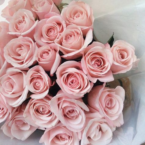 illicith: i l l i c i t h | AnaRosa | Bloglovin’                                                                                                                                                      More Tout Rose, Belle Rose, Makeup Fashion, Happy Tuesday, Beautiful Blooms, Color Rosa, Love Flowers, My Flower, Beautiful Roses