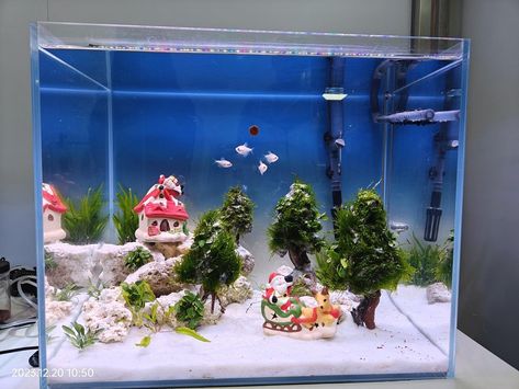 You can also bring a Christmas vibe to your fish tank. One idea for a fish tank theme with a Christmas vibe could be to incorporate festive decorations such as miniature ornaments, a tiny Santa, a Santa’s sleigh, and small Christmas trees. You can also add some artificial snow or create a winter wonderland scene with fake snow-covered rocks and plants. Christmas theme from @hygger.official Christmas Fish Tank Decoration, Christmas Fish Tank, Christmas Aquarium, Creative Fish Tank, Fish Tank Themes, Small Fish Tanks, Miniature Ornaments, Cool Fish Tanks, Christmas Diorama