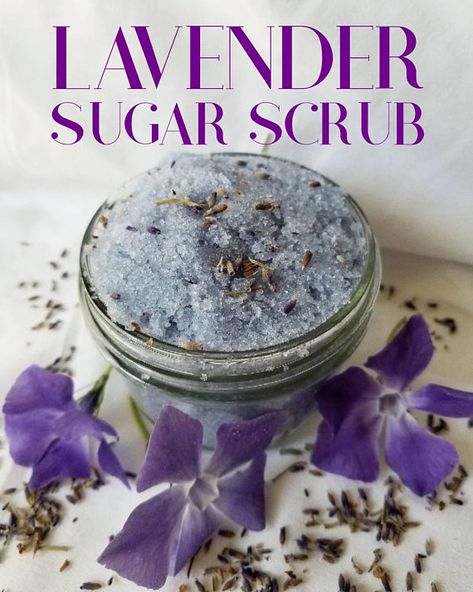 Sugar Scrub Favors, Body Scrub Gift, Lavender Sugar, Lavender Sugar Scrub, Body Scrub Recipe, Sugar Scrub Recipe, Face Scrub Homemade, Diy Body Scrub, Diy Scrub