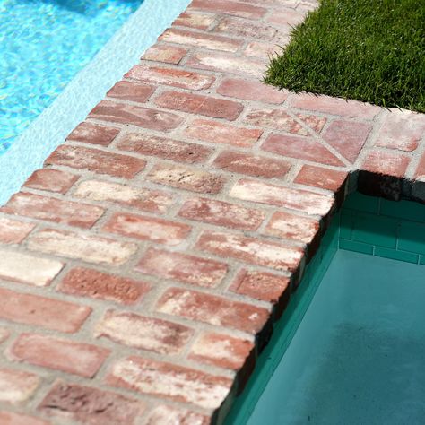 Used Brick Coping with White Bottom Pool - Irvine Terrace Inground Pool Coping, Pool Brick, Inground Pool Pricing, Brick Pool, Farmhouse Pool, Pool Paving, Living Pool, Pool Contractors, Pool Renovation