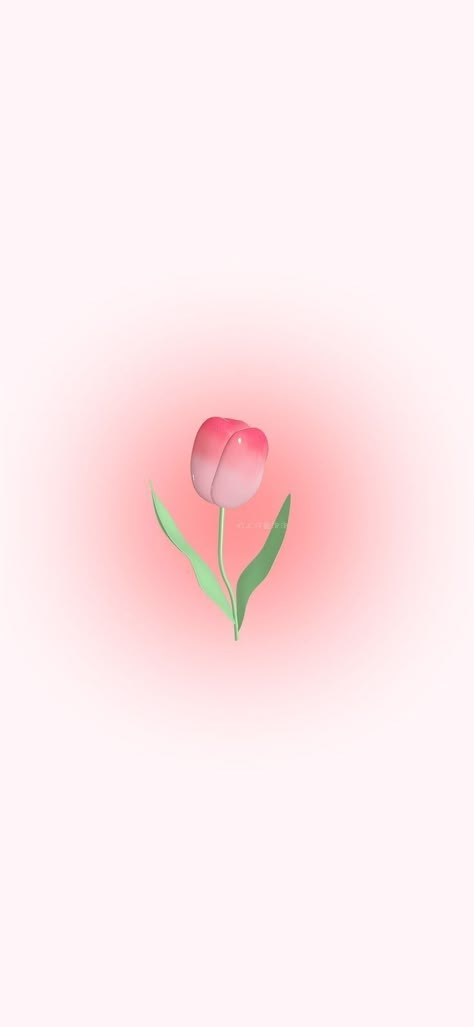 Wallpaper Tulips Iphone, Tulips Pink Drawing, 3d Wallpaper Iphone Tulips, 3d Tulips Wallpaper, Tulips Lockscreen Aesthetic, Tulips Background Aesthetic, Pink Tulips Wallpaper Iphone, Tulip Lockscreen, Wallpaper Iphone Tulips