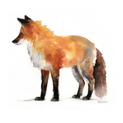 Fox Art Print, Mini Print, Watercolour Painting, Fox Wall Art, Wildlife Art, British Wildlife, Animal Lover, Countryside Art by MarieFineArt on Etsy Fox Watercolor, Watercolour Fox Painting, Fall Fox Painting, Winter Fox Painting, Red Fox Watercolor, Fox In Winter Painting, Countryside Art, Fox Wall Art, Fox Art Print