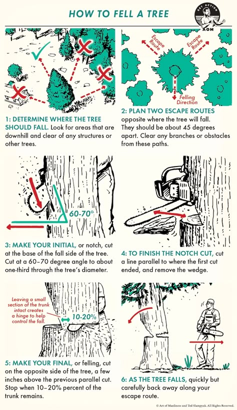 How to Fell a Tree | The Art of Manliness Uses For Cut Down Trees, How To Fell Trees, Fell Tree, How To Straighten A Leaning Tree, How To Tap Maple Trees, How To Dry Wood, How To Identify Trees, Arborist Climbing Trees, Stihl Chainsaw