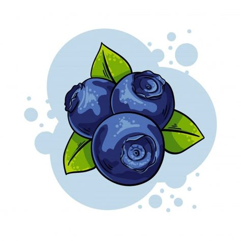 Leaves Illustration, Vector Food, Blueberries, Premium Vector, Vector Illustration, Water, Design