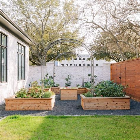 Nicole Burke on Instagram: “Did you say you needed to end the weekend with a pretty kitchen garden? 🤷‍♀️ Can’t wait to see all our gardens and take photos for my…” Houston Backyard, Houston Garden, Raised Gardens, Grass Tree, Cedar Garden, Tree Table, Pretty Kitchen, Plant Table, Veg Garden