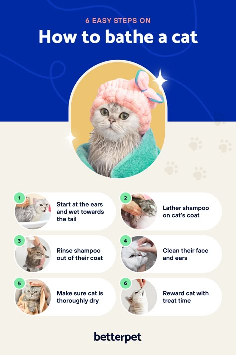 A medically reviewed, step-by-step guide on figuring out when, how, and what to use when bathing a cat! Cat Bucket List, How To Give A Cat A Bath, How To Bathe A Cat, Cat Tail Meaning, Cat Necessities, Cat House Diy Cardboard, Kitten Checklist, Cat Mittens, Kitten Care Tips