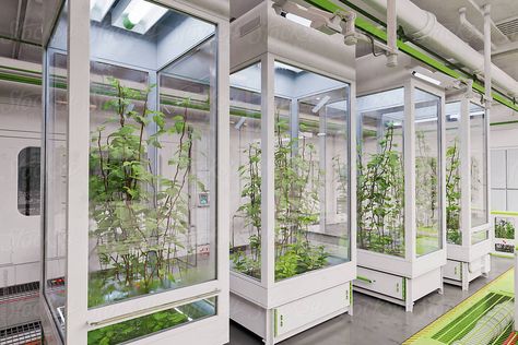 Botanist Laboratory, Bloxburg Laboratory, Small Laboratory Design, Botany Laboratory, Science Laboratory Aesthetic, Laboratory Design Interior, Futuristic Greenhouse, Botanical Laboratory, Futuristic Plants