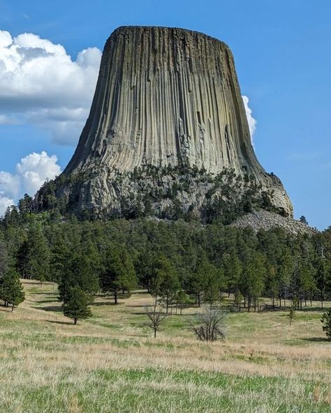 Awesome Places To Travel Devils Tower Wyoming, Devils Tower National Monument, Devils Tower, Awesome Places, One Year Anniversary, Gap Year, National Monuments, Source Of Inspiration, Amazing Destinations