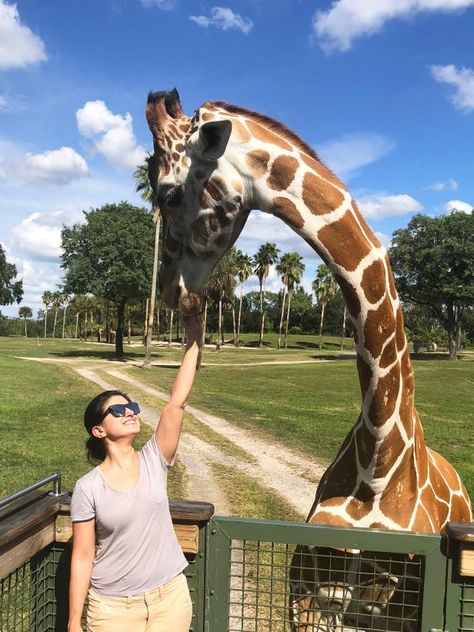 Why You Should Visit Busch Gardens Tampa Bay | Tampa/St. Petersburg | Travel Channel Busch Gardens Tampa Bay, Busch Gardens Tampa, Arizona Vacation, Vacation Tops, Busch Gardens, Whitewater Rafting, Safari Tour, Travel Channel, Grand Canyon National Park