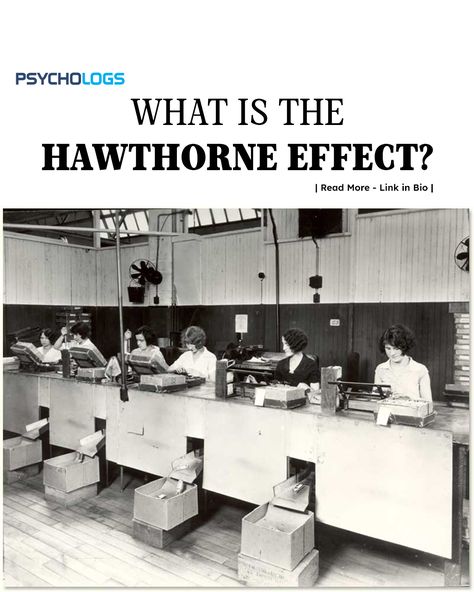 The Hawthorne effect, a key concept in organizational and industrial psychology, describes how individuals improve their performance when they know they are being observed. For instance, students may focus on their studies when a teacher is present, rather than socializing.   #hawthorneeffect #illuminationexperiment #psychology #psychologytheories Industrial Psychology, Hawthorne Effect, Psychology Education, Rhyme Or Reason, Focus On, Psychology, Key, Education