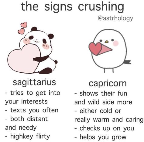 Anime Zodiac Sagittarius, Sagittarius Crushing, Sagittarius Crush, Anime Zodiac, Different Zodiac Signs, Sign Meaning, Infp T, Signs Funny, Zodiac Signs Gemini