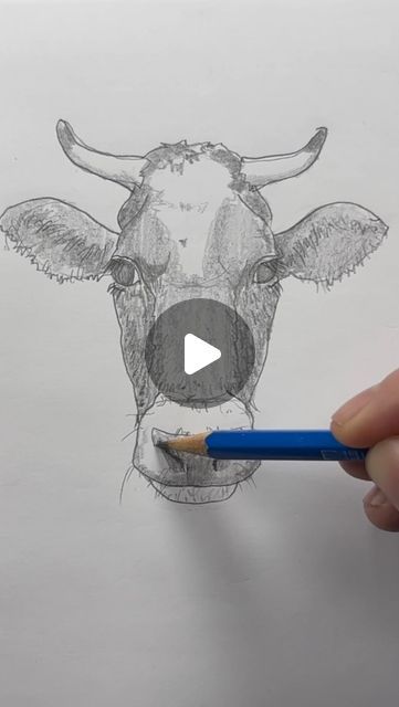 Mark Liam Smith on Instagram: "Draw a cow 🐮 Easy drawing lesson for beginners. Part 2 of 2. #drawinglesson #howtodraw" Cow Eyes Drawing, Cow Sketch Easy, Cow Easy Drawing, Cute Cow Sketch, Drawing A Cow, How To Draw A Cow, Cow Drawing Easy, Draw A Cow, Cow Sketch