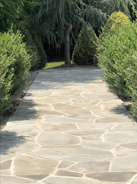 Concrete Paths And Walkways, Patio And Garden Ideas Backyards, Stone Patio Steps From House, Sandstone Pavers Patio, White Flagstone Patio, Flag Stone Walkway Pathways, Large Flagstone Patio, Large Stone Patio, Rectangle Paver Patio