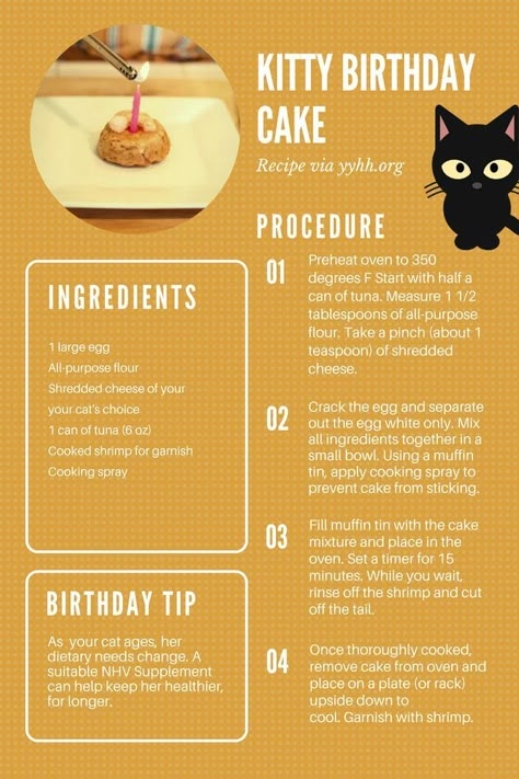 Kitty Birthday Cake, Birthday Cake For Cat, Katt Grejer, Homemade Cat Food, Animal Treats, Cat Ages, Cat Treat Recipes, Healthy Cat, Birthday Cake Recipe