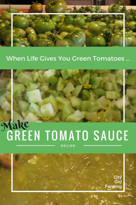 Green Tomato Sauce - CITY GIRL FARMING Green Tomato Pasta Sauce Recipes, Frozen Green Tomato Recipes, Green Tomato Sauce Recipes, Green Tomato Pasta Sauce, What Can You Do With Green Tomatoes, Uses For Green Tomatoes, Green Tomato Spaghetti Sauce, What To Do With Green Tomatoes, Green Tomato Sauce