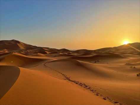 Sahara Desert Photography, Desert Sunset Photography, Desert Images, Medina Wallpaper, Egypt Desert, Sand Aesthetic, Desert Scenes, Desert Sahara, Desert Photography