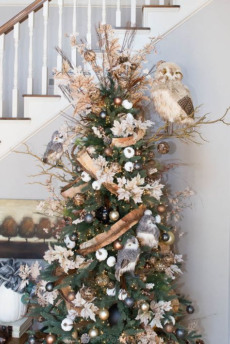 How To Take Your Christmas Tree Up a Notch - Home Decor and Home Improvement DIY Tutorials Woodsy Christmas Tree, Woodsy Christmas, Fall Christmas Tree, Christmas Tree Idea, Owl Christmas Tree, Home Improvement Diy, Enchanted Woodland, Christmas Woodland, Decor Christmas Tree