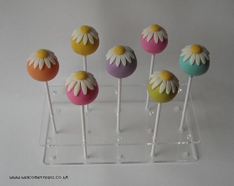 Cake Pop Daisy, Groovy Cake Pops, Daisy Cake Pops, Flower Cake Pops, Dipped Treats, Daisy Theme, Sunflower Cupcakes, Sunflower Cake, Circle Cake