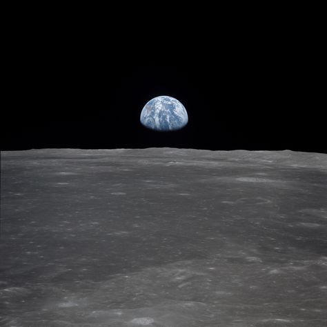 Apollo 11 Mission Image - View of Moon Limb, with Earth on the Horizon - Moon: NASA Science Apollo 11 Crew, Earth From Moon, Mission Images, Apollo 11 Mission, Nasa Earth, Earth View, Nasa Images, Earth Images, Earth Photos