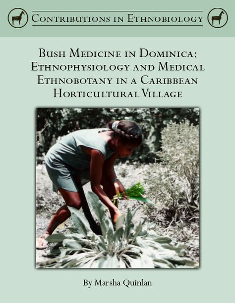 Bush Medicine in Dominica: Ethnophysiology and Medical Ethnobotany in a Caribbean Horticultural Village, by Marsha B. Quinlan and Katherine E. Flores | Society of Ethnobiology Bush Medicine, Head Cold, Herbal Plants, Chapter 16, Traditional Medicine, Medicinal Plants, Herbal Medicine, Ecology, Natural Health