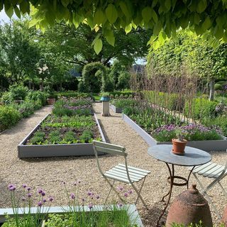 Rachel Gormley (@rachpants99) • Instagram photos and videos Vegetable Patch, Veg Patch, Veggie Patch, Food Garden, Farm Gardens, Kitchen Garden, Front Garden, Fencing, Driveway