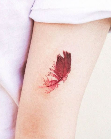 Red Cardinal Tattoo, Cardinal Tattoo Ideas, Red Cardinal Tattoos, Small Cardinal Tattoo, Robin Tattoo, Red Bird Tattoos, Cardinal Tattoo, Cardinal Tattoos, Black Bird Tattoo