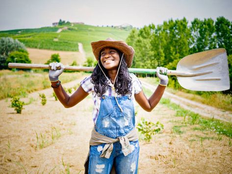 23,965 Black Farmer Stock Photos, Pictures & Royalty-Free Images - iStock Farmer Photoshoot, Farmer Girl, Female Farmer, Dream Jobs, Walk In Greenhouse, Urban Farmer, Portrait Shoot, Happy Black, Girl Standing