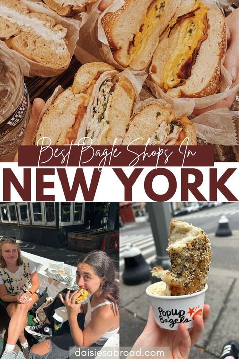 BEST BAGEL SHOPS IN NYC Best Bagels In Nyc, Nyc Bagels, Bagels Nyc, Shops In New York, Cape Cod Travel, Day Trip To Nyc, Boston Travel Guide, New York Bagel, Best Bagels