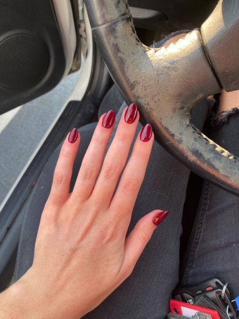 Short Dark Red Nails Aesthetic, Aesthetic Dark Red Nails, Deep Red Jelly Nails, Short Dark Red Almond Nails, Red Jelly Nails Short, Dark Red Nails Medium Length, Short Almond Dark Red Nails, Dark Sns Nails, Sns Red Nails