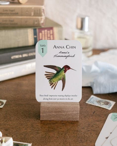 Finally showcasing these lovely Wingspan-themed escort cards. How sweet is this celebration of a favorite game? And to custom select each bird for each guest, too — our couples really go above and beyond. Game Themed Wedding, Wingspan Game, Marry That Girl, Live Illustration, Bird Themed Wedding, Stationery Studio, Elegant Garden Wedding, Cottagecore Wedding, Stationery Ideas