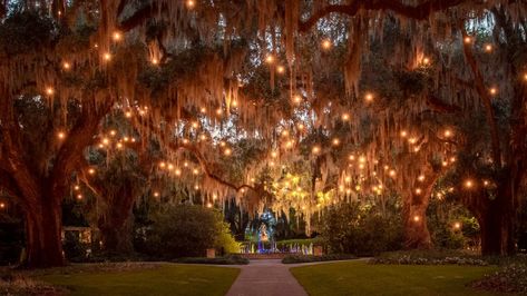 Myrtle Beach Attractions, Instagramable Places, Myrtle Beach State Park, Myrtle Beach Trip, Myrtle Beach Boardwalk, Brookgreen Gardens, Moss Tree, Beach 2023, Murrells Inlet Sc