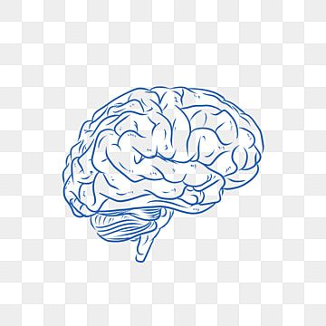 Brain Png Aesthetic, Brain Drawing Simple, Brain Clipart, Brain Png, Brain Pictures, Brain Thinking, Brain Graphic, Brain Vector, Brain Drawing