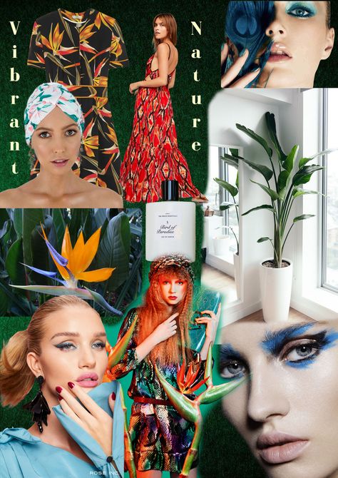 The concept behind the birds of paradise moodboard is to create a vibrant aesthetic that mother nature offers. The idea is to embrace nature and the beauty of it by using colours and textures which nature offers, namely green tones, blue tones and orange tones. These colours are also reflected in a birds of paradise plant. The aim is also to create a link between nature and humans as we should nurture and appreciate mother nature in all its glory. Birds Of Paradise Plant, Vibrant Aesthetic, Bird Of Paradise Plant, Fashion Journal, Paradise Plant, Birds Of Paradise Flower, Embrace Nature, Orange Tones, Fashion Journals