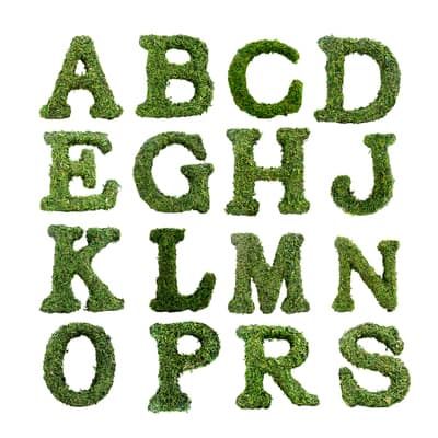 Assorted Form Moss Letter by Ashland® | Moss & Excelsior | Michaels Moss Letters, Michael Store, Spring Inspiration, Spring Decor, Custom Framing, Free Shipping, Green