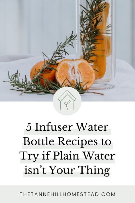 5 Infuser Water Bottle Recipes to Try if Plain Water isn't Your Thing Water Enhancer Recipes, Infuser Water Bottle Recipes, Infuser Water Bottle, Fruit Infused Water Recipes, Herbal Coffee, Smoothie Bowl Healthy, Plain Water, Fruit Infused Water Bottle, Infused Water Recipes