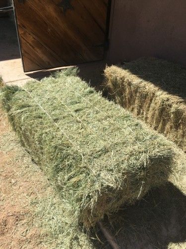 5,000 Bales - 3 String Bales of Bermuda Hay - Arizona Round Hay Bale Feeder, Horse Square Bale Feeder, Round Bale Hay Feeder For Horses, Round Bale Hay Feeder, Alfalfa Hay For Horses, Alfalfa Hay, Ranch Horses, Ranches For Sale, Country Fair